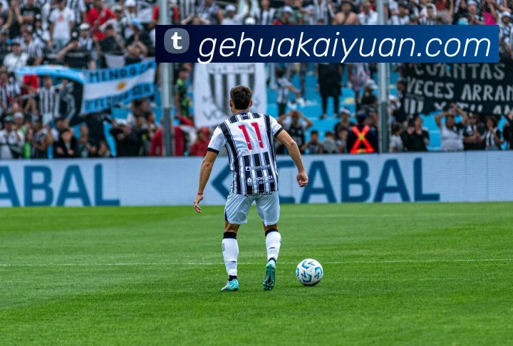 开元棋牌平台生态图